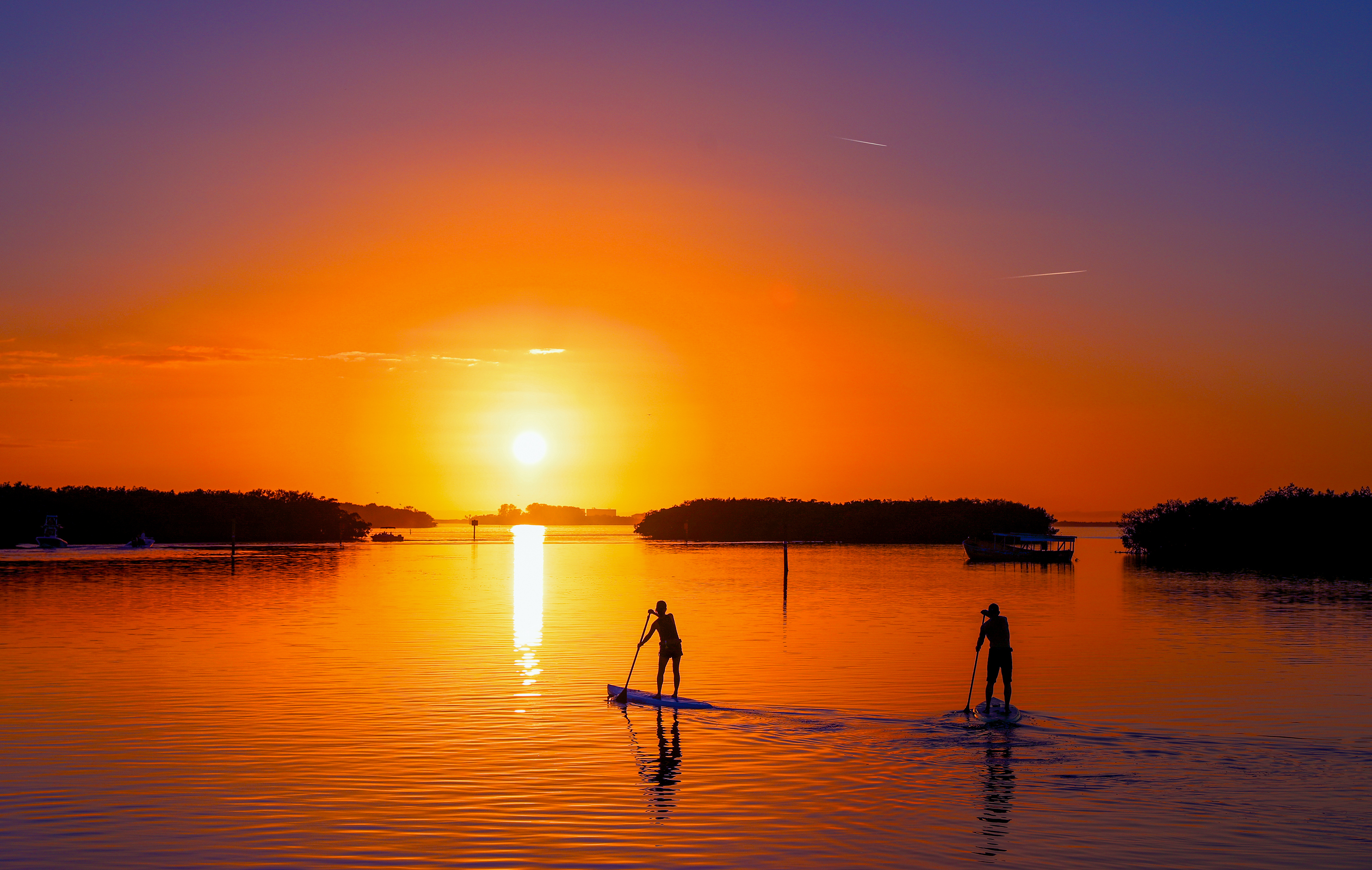 Standup Paddlen im Sonnenuntergang in Palm Harbor in der Tampa Bay in Florida