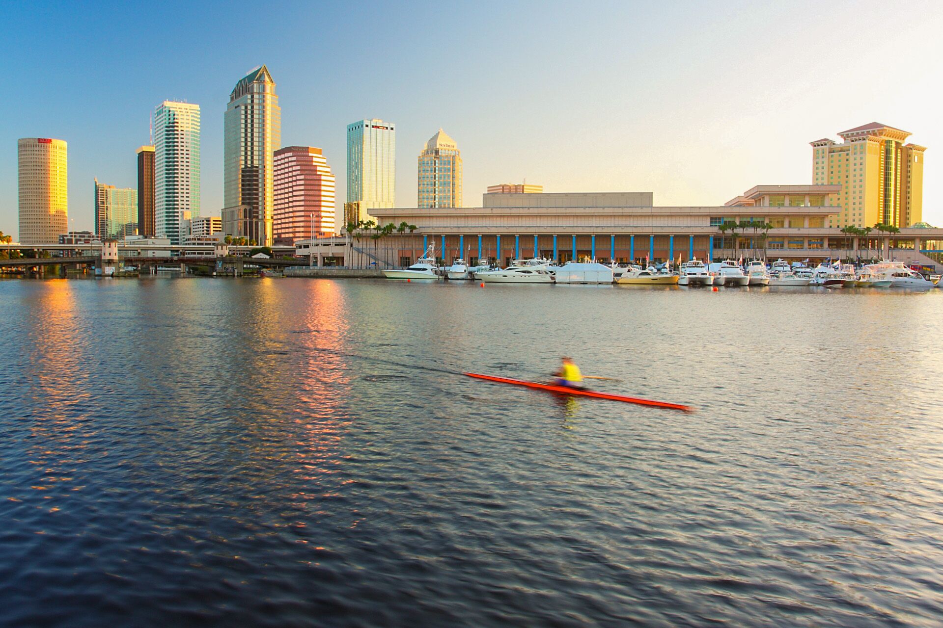 Wunderschöne Skyline Tampas in Florida an einem sonnigen Tag