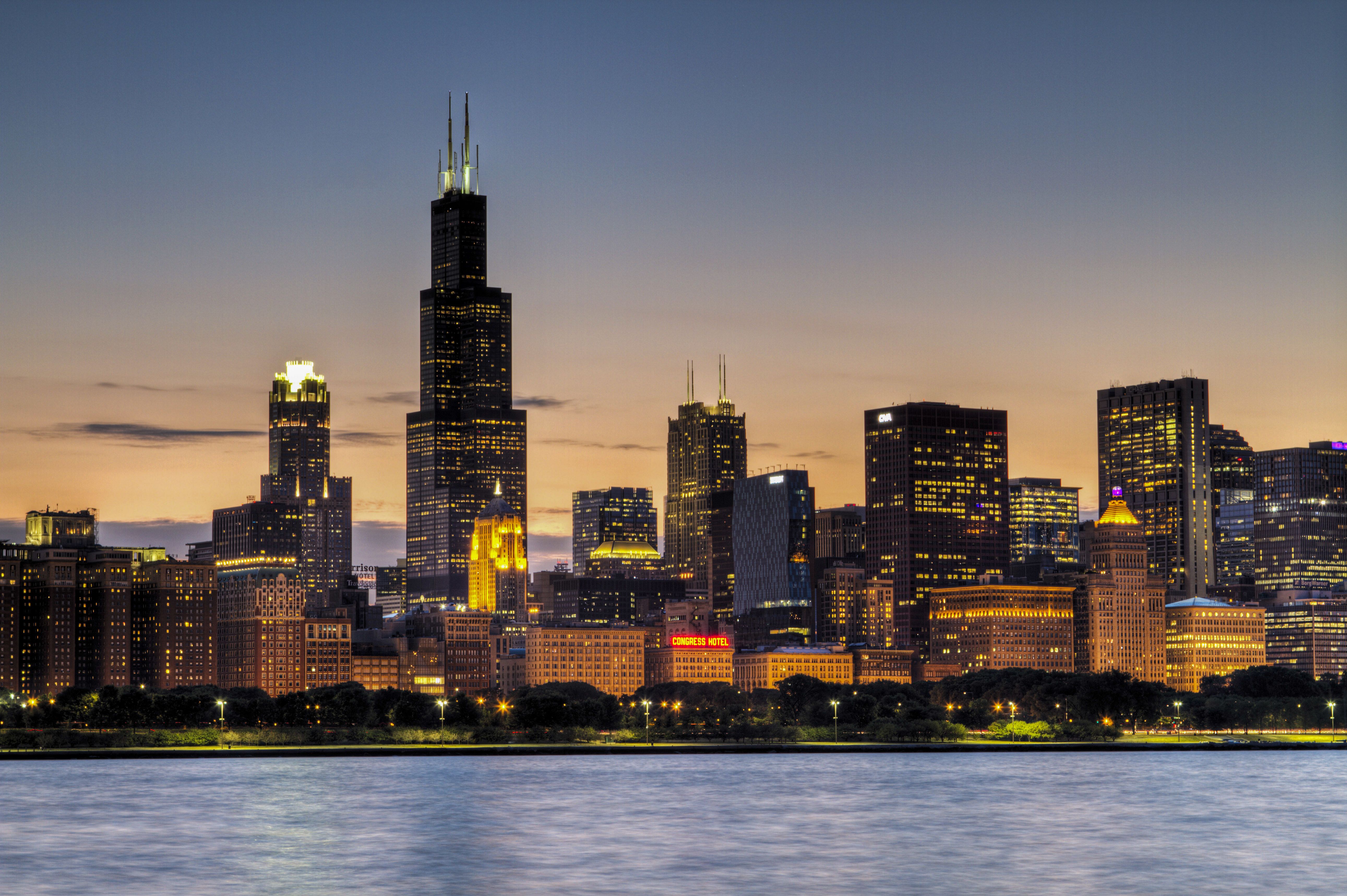 Die Skyline von Chicago bei Nacht