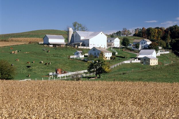 Weiße Häuser auf einer Amish Farm in Indiana Weiße Häuser auf einer Amish Farm in Indiana