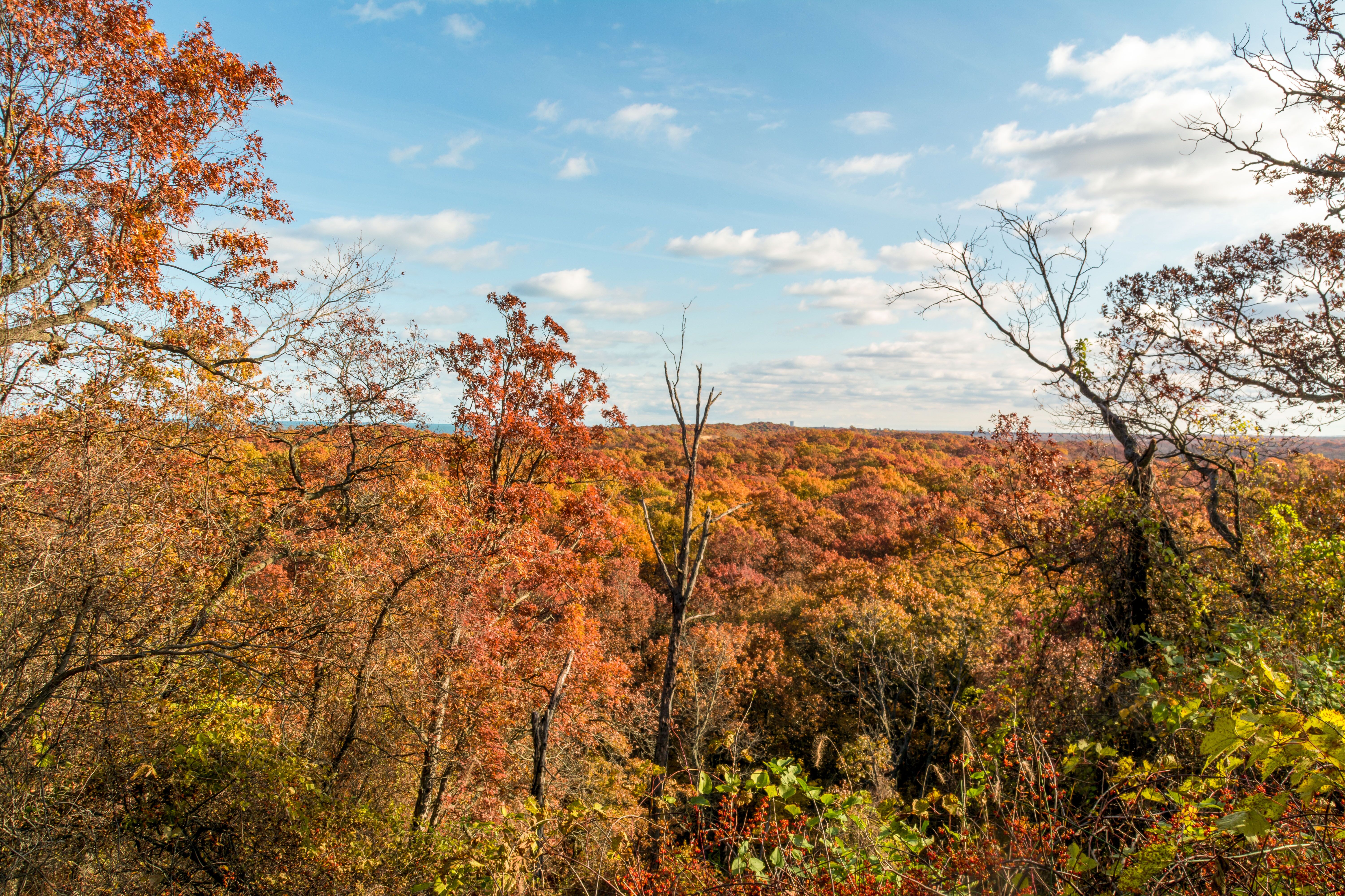 Der wunderschöne Herbst im Indiana Dunes National Park in Indiana