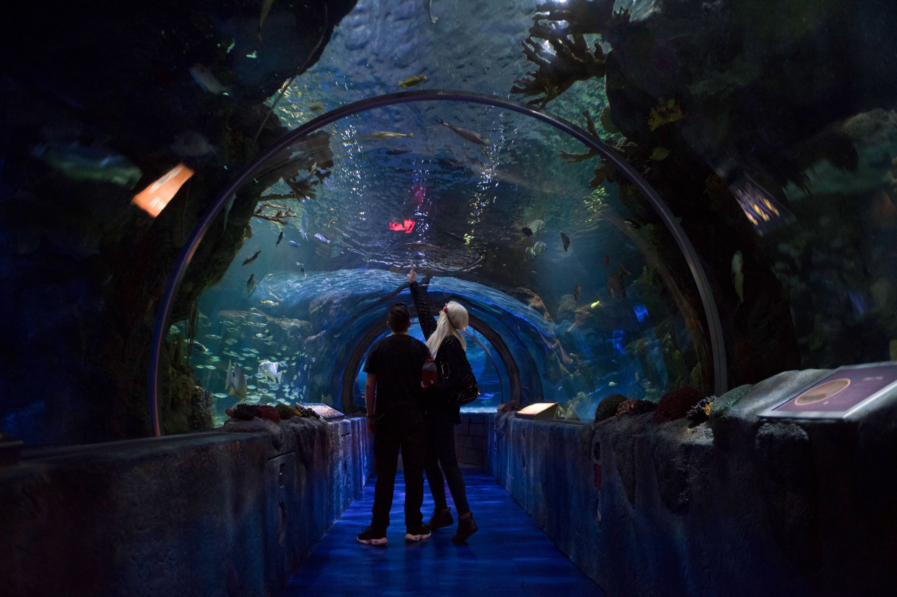 Zwei Personen im Sealife Aquarium in der Mall of America in Bloomington, Minnesota