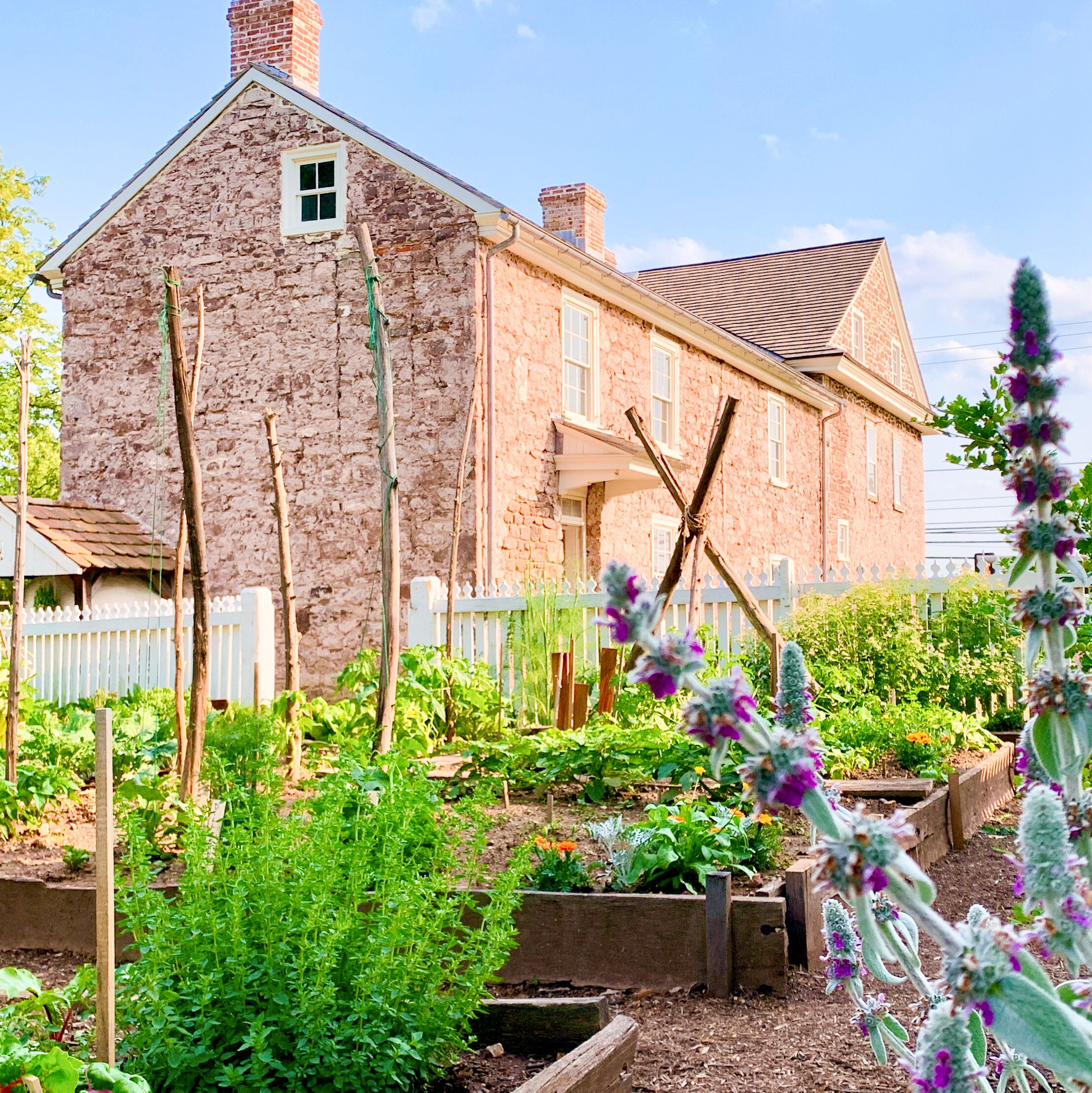 Inmitten von Kitchen Garden