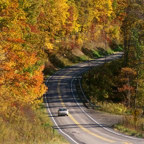 regionen/usa/great-lakes-staaten/pennsylvania/allgemein/national-forest-im-herbst.cr922x923-240x0