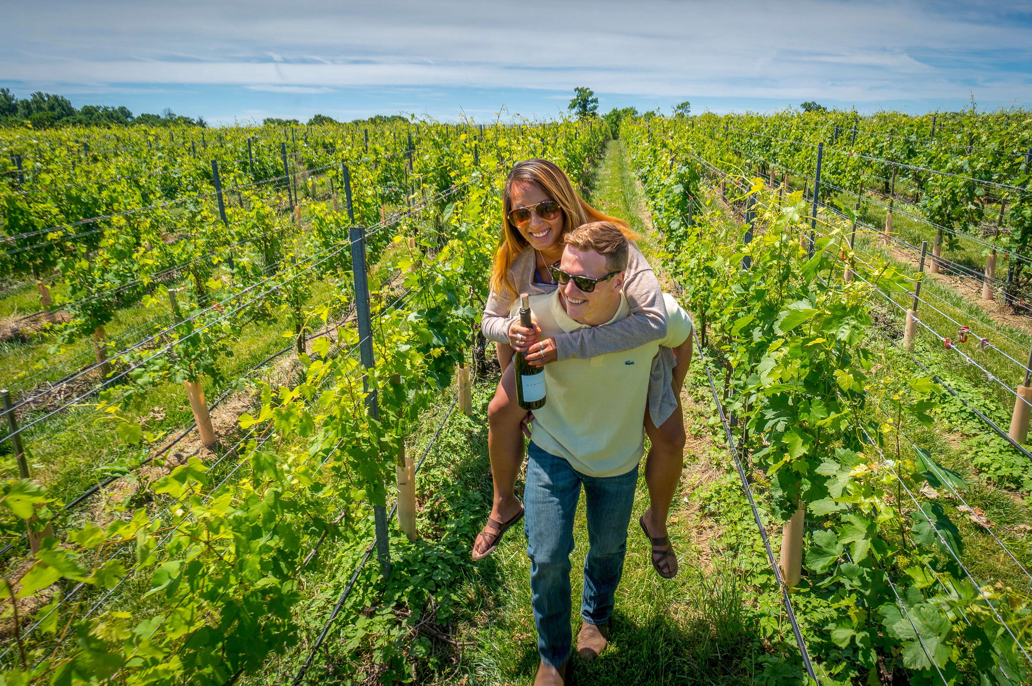 Ein Paar in den WeinhÃ¤ngen der Va La Vineyards & Winery in Avondale