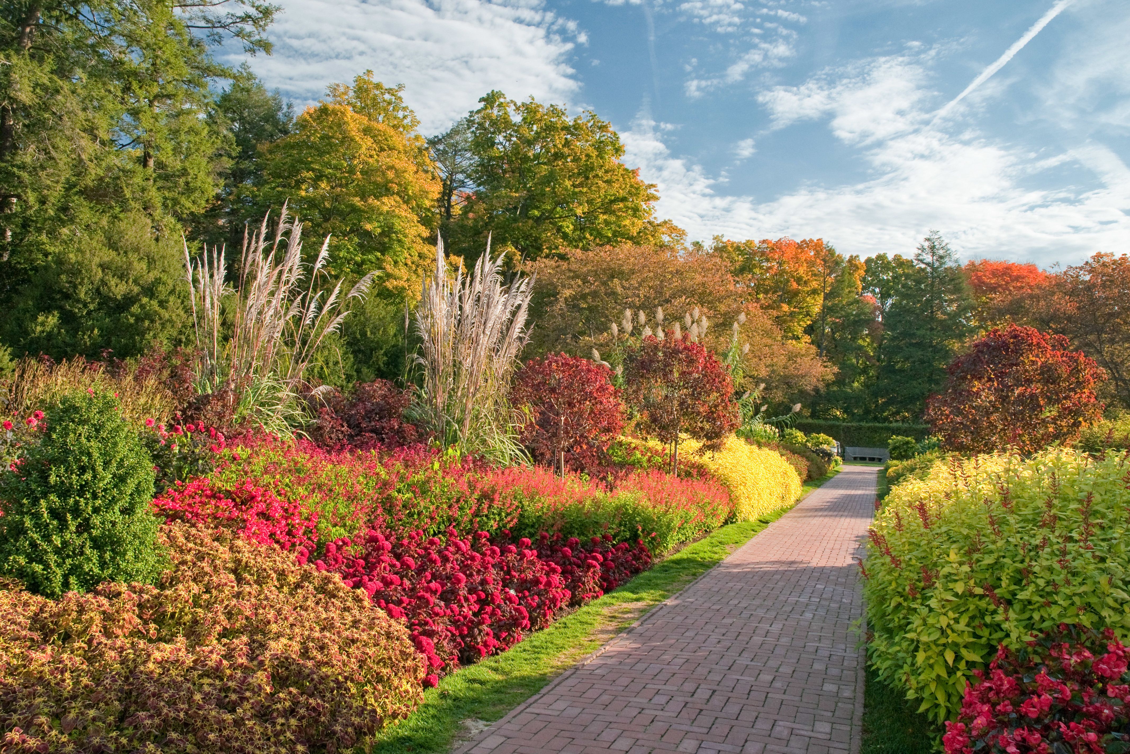 Einen Weg durch die Longwood Gardens in Kennett Square entlang spazieren