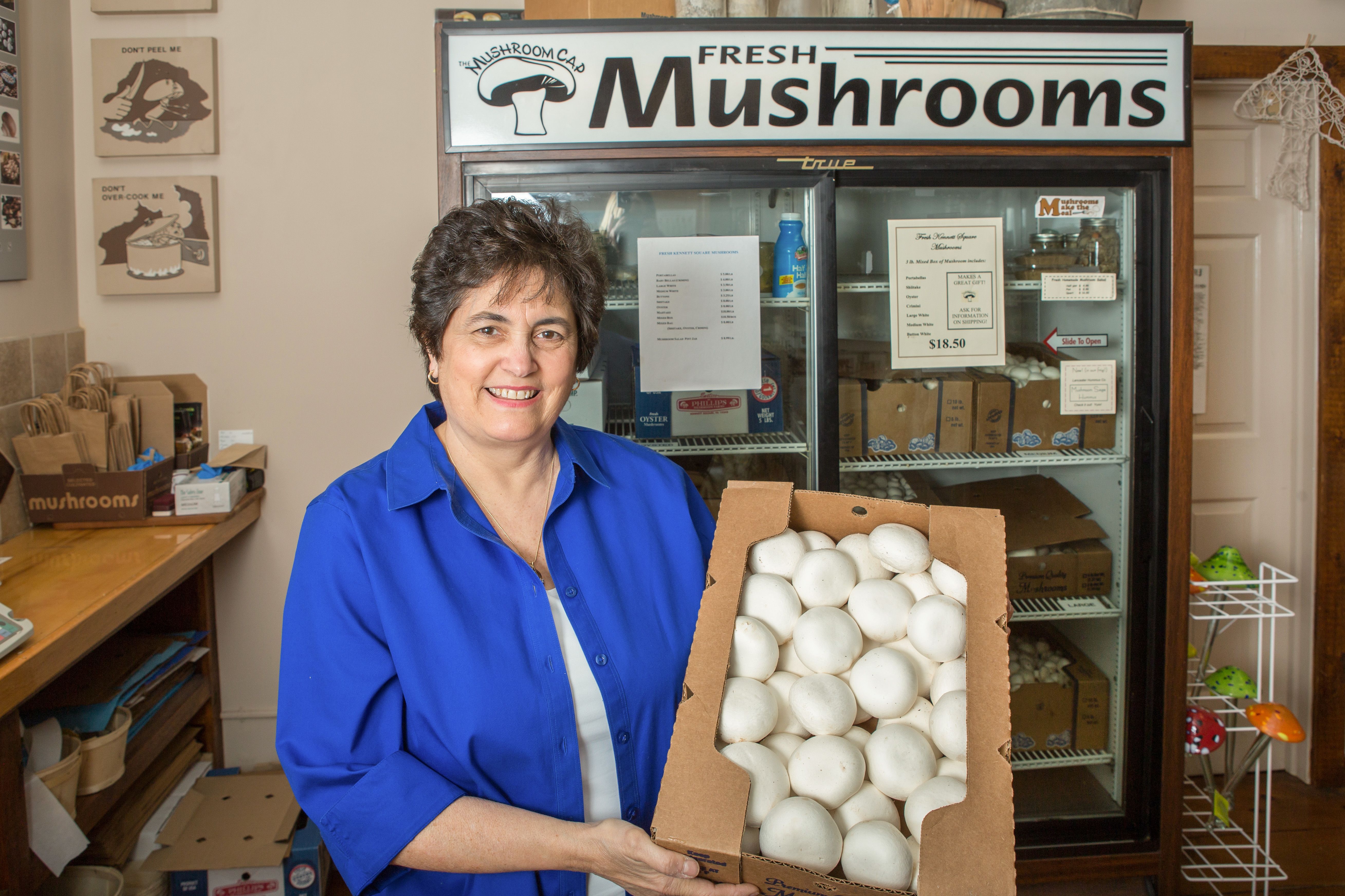 The Mushroom Cap in Kennett Square