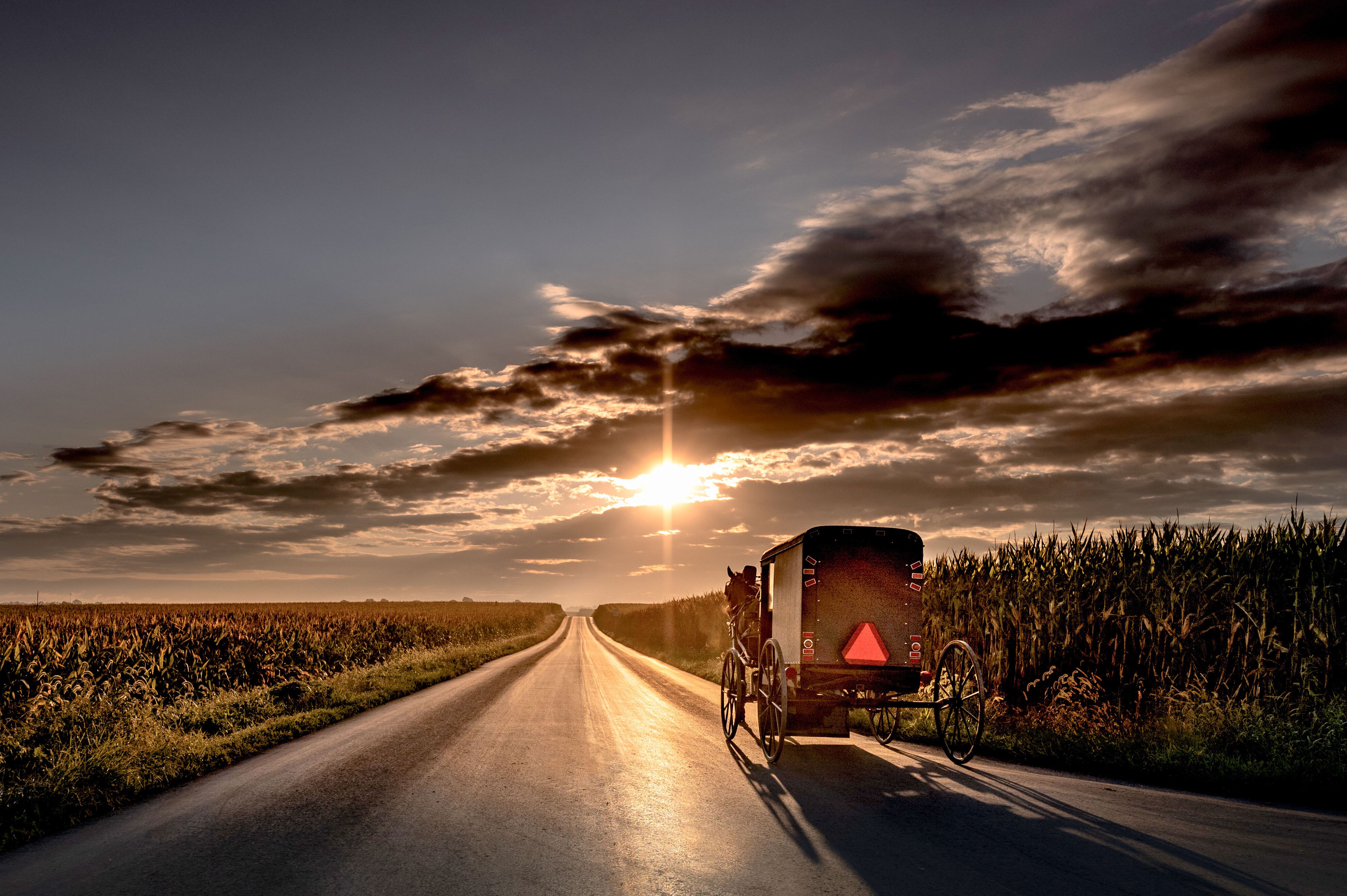 Kutschfahrt über die Felder in Lancaster County, Pennsylvania