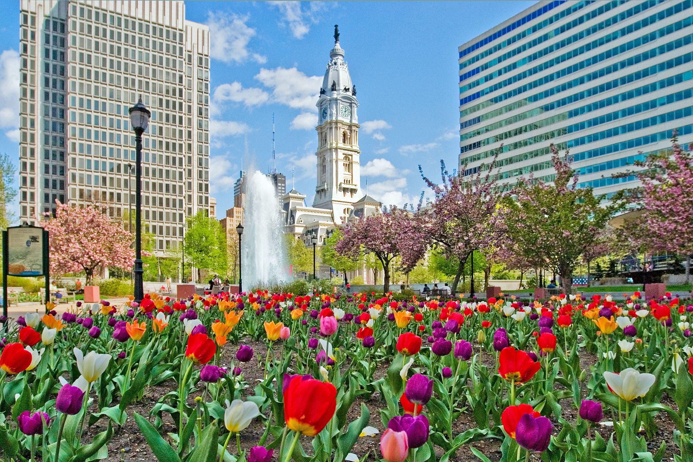 Blick auf die City Hall von Philadelphia