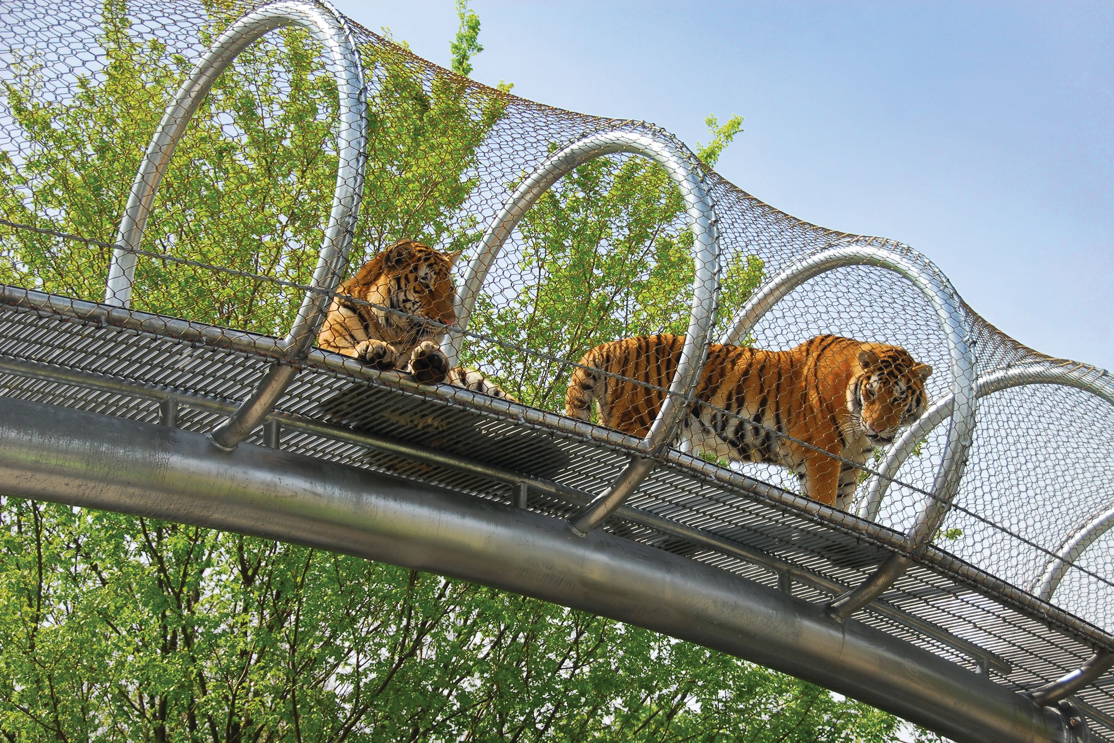 Der Philadelphia Zoo war der erste offiziellen Zoo der USA