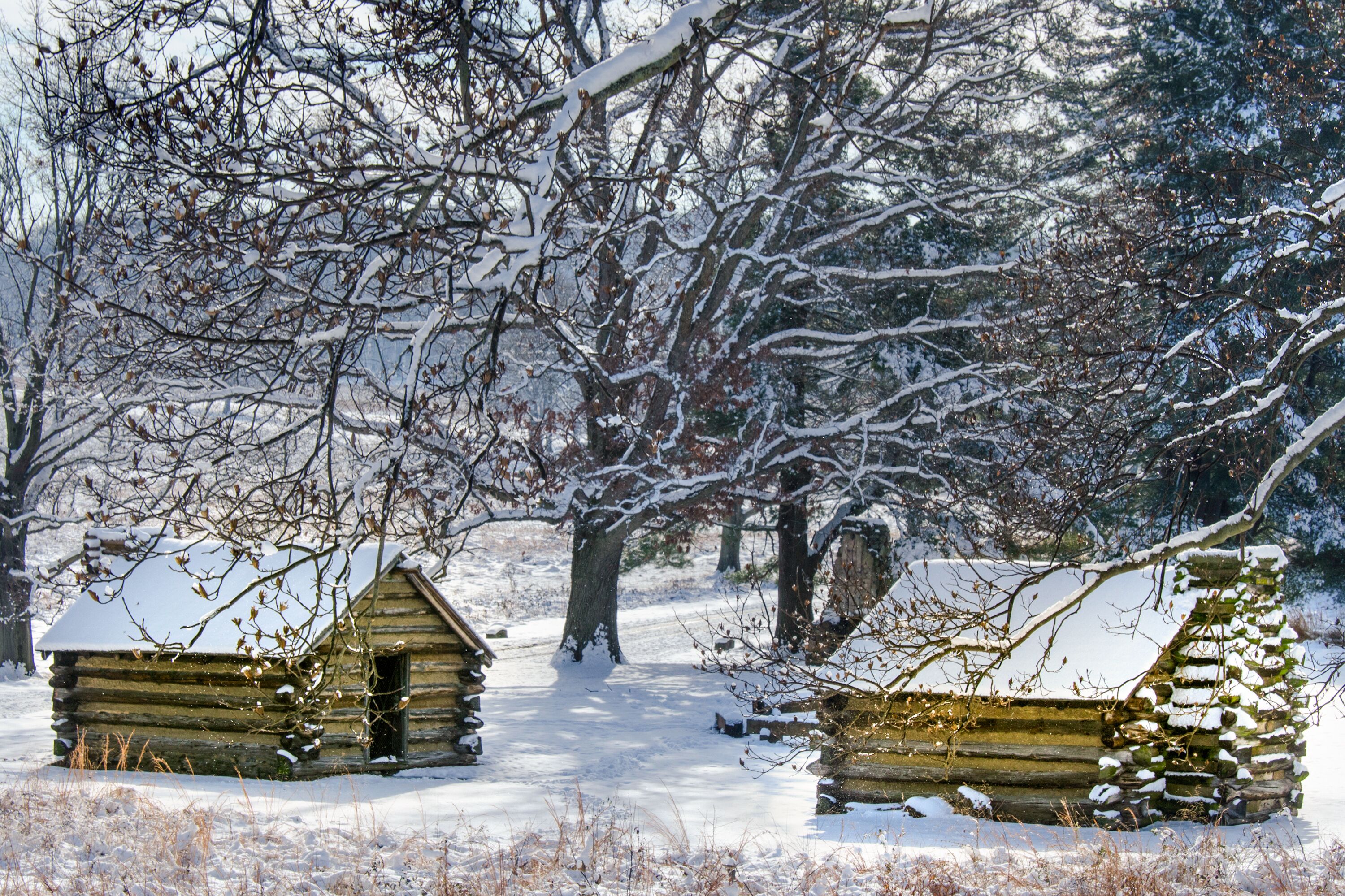 Schneelandschaft im Valley Forge National Historical Park