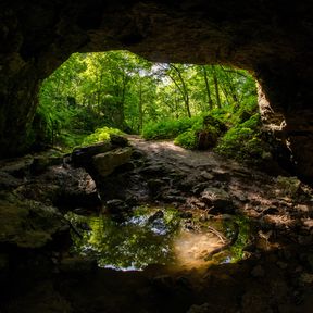 Maquoketa Caves State Park - Wide view looking toward an entrance to the cave, reflected in a pool of water in the foreground.