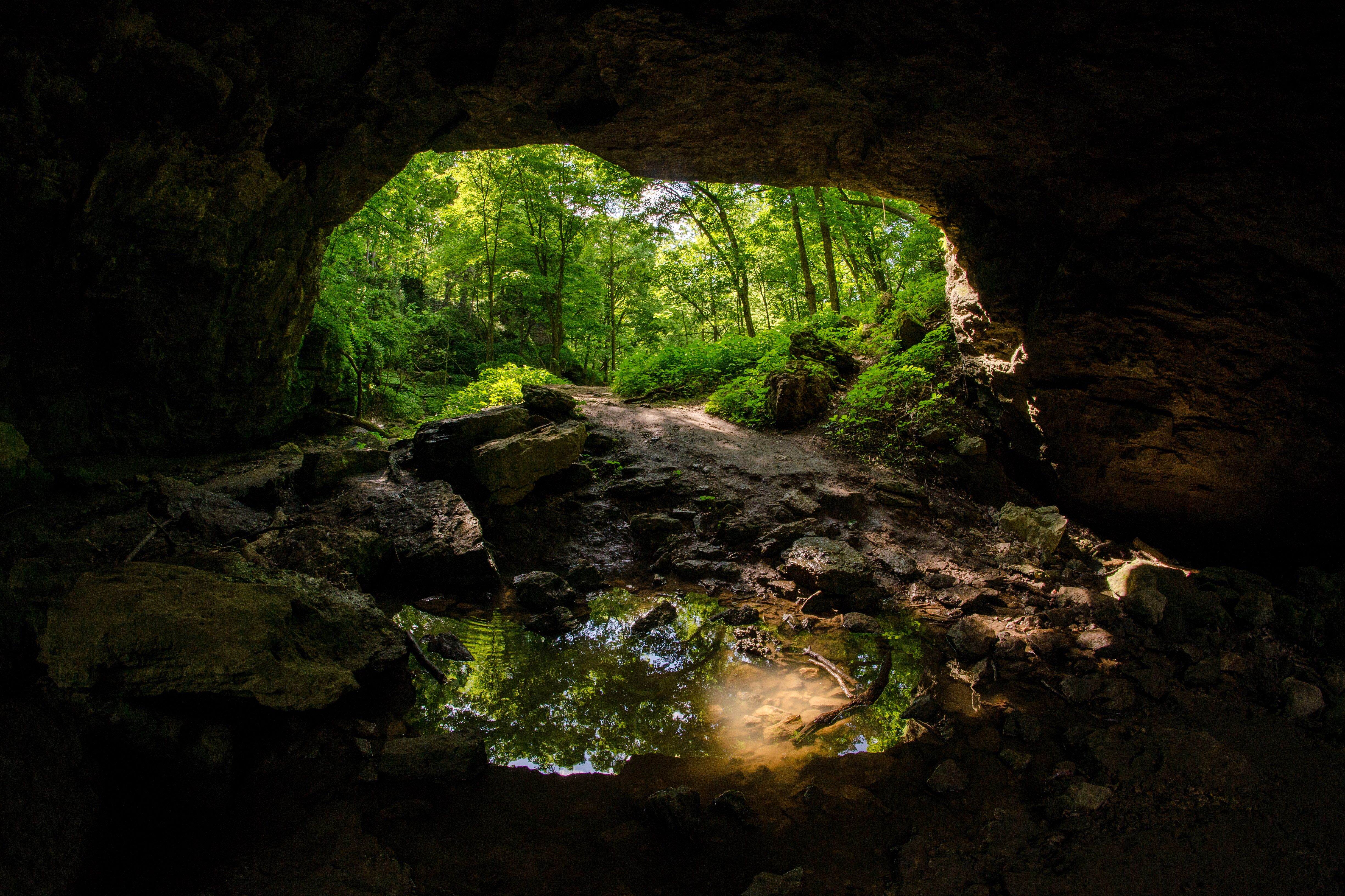 Maquoketa Caves State Park - Wide view looking toward an entrance to the cave, reflected in a pool of water in the foreground.