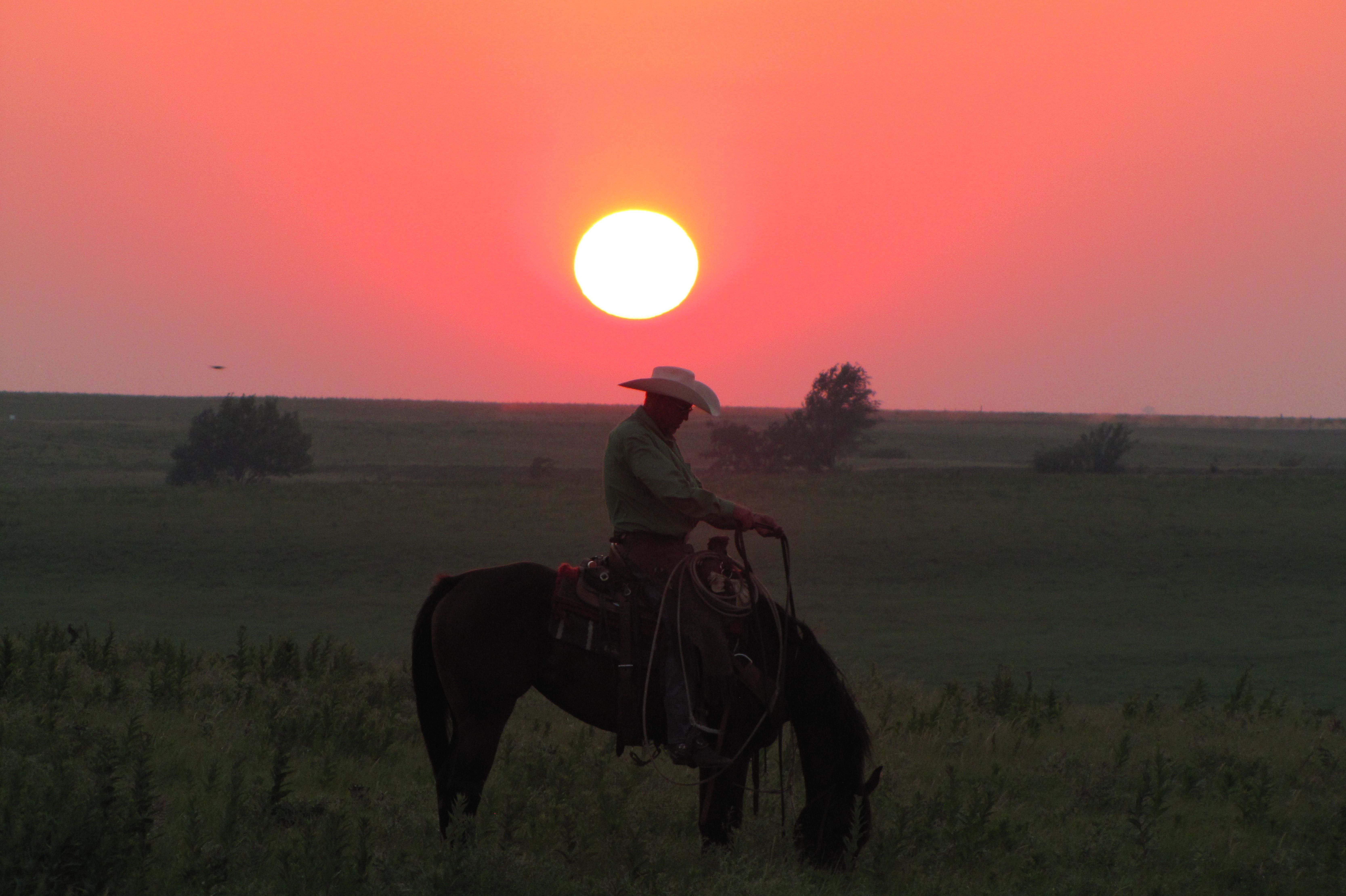 Cowboy bei Sonnenuntergang in den Flint Hills