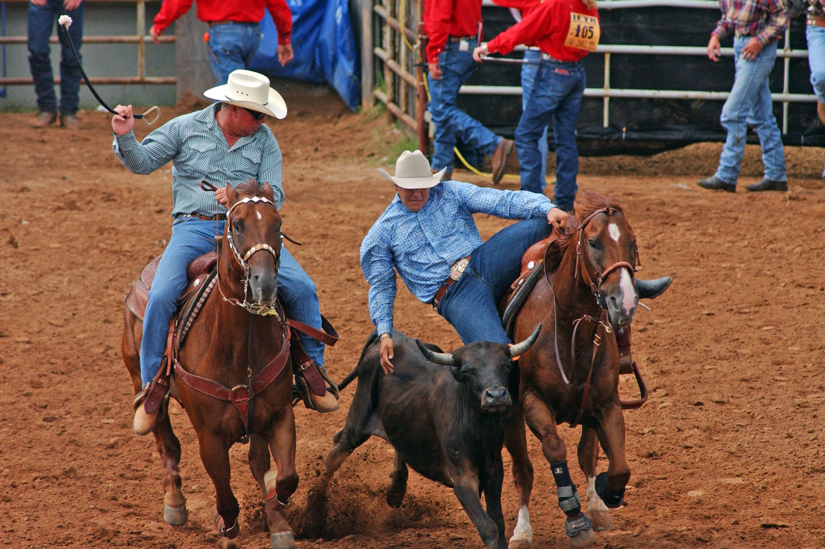 Cowboys beim Rodeo