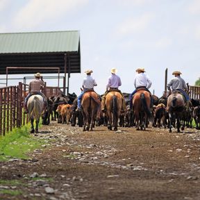 A Bar Ranch in Claremore, Oklahoma