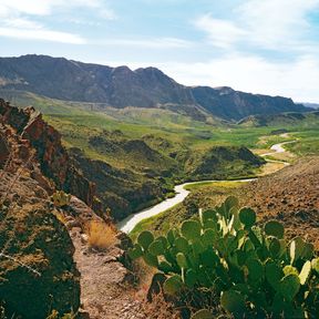 Impression Big Bend National Park