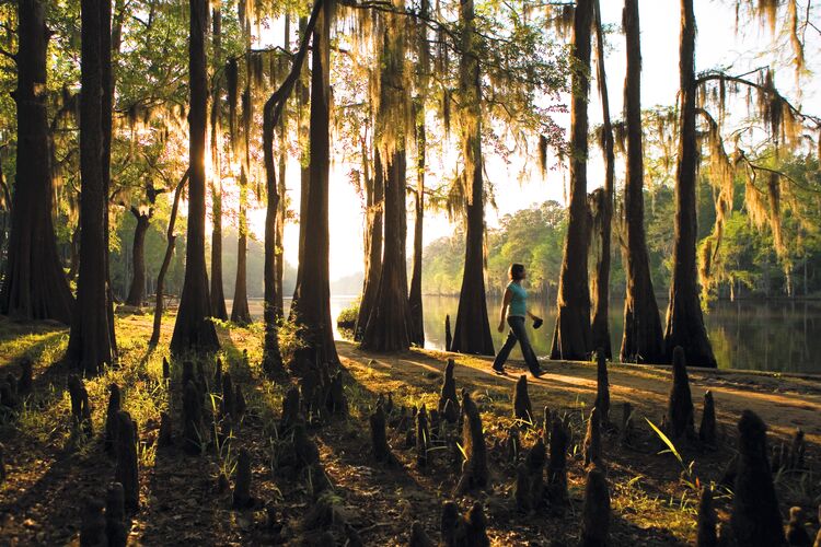 Caddo Lake State Park