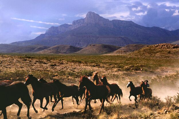 Cowboy und Pferde auf der Dude Ranch in Texas Cowboy und Pferde auf der Dude Ranch in Texas
