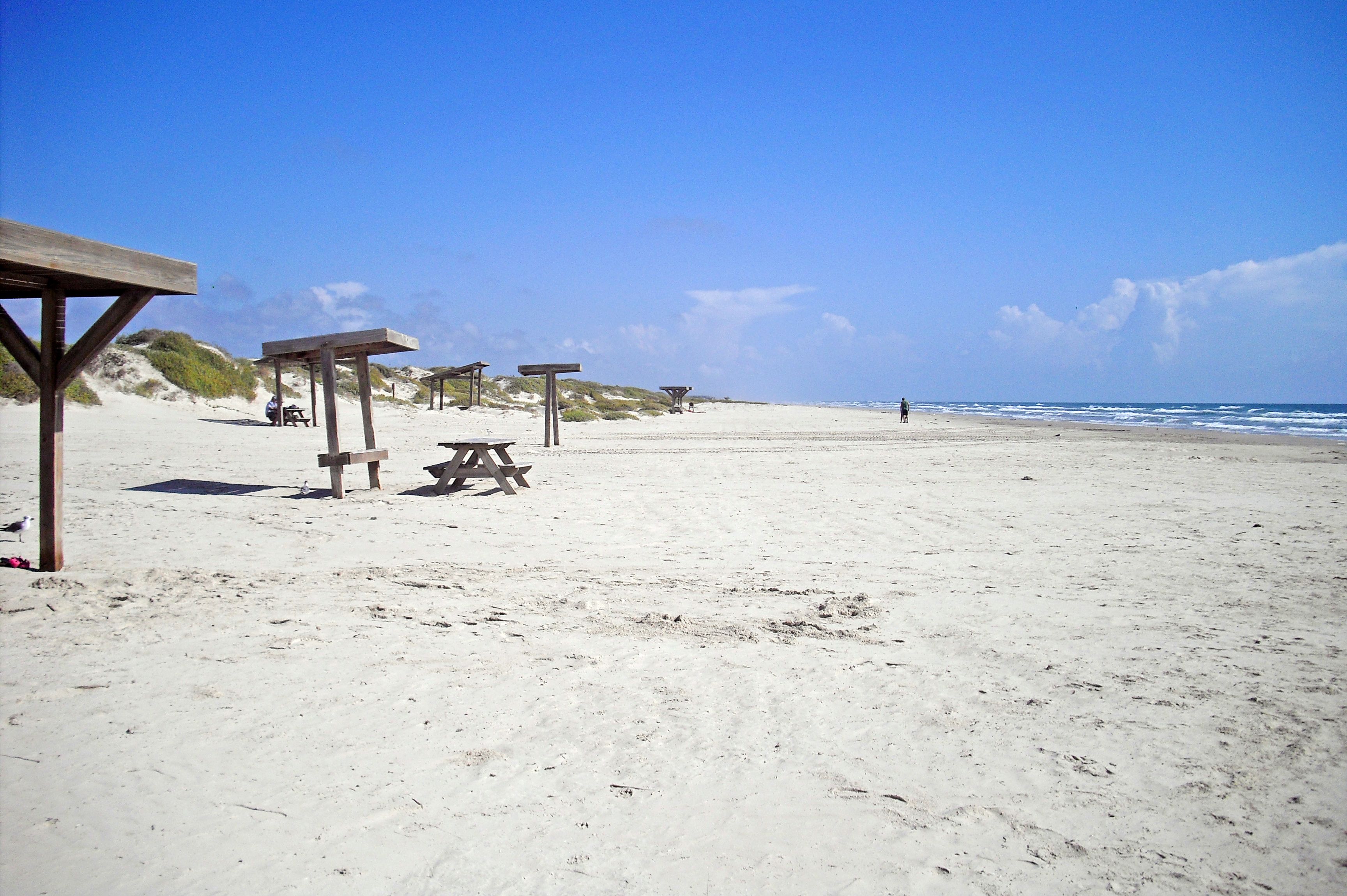 Padre Island National Seashore