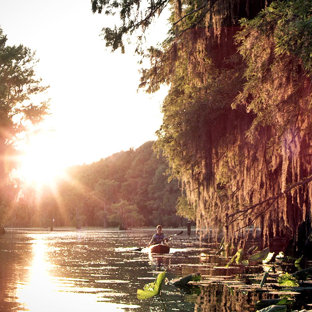 Kayaking im Caddo Lake State Park, Texas