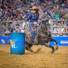 regionen/usa/mittlererwesten/texas/allgemein/texas-scenic-routes-houston-rodeo-01.cr3452x3456-456x0 regionen/usa/mittlererwesten/texas/allgemein/texas-scenic-routes-houston-rodeo-01.cr3452x3456-456x0