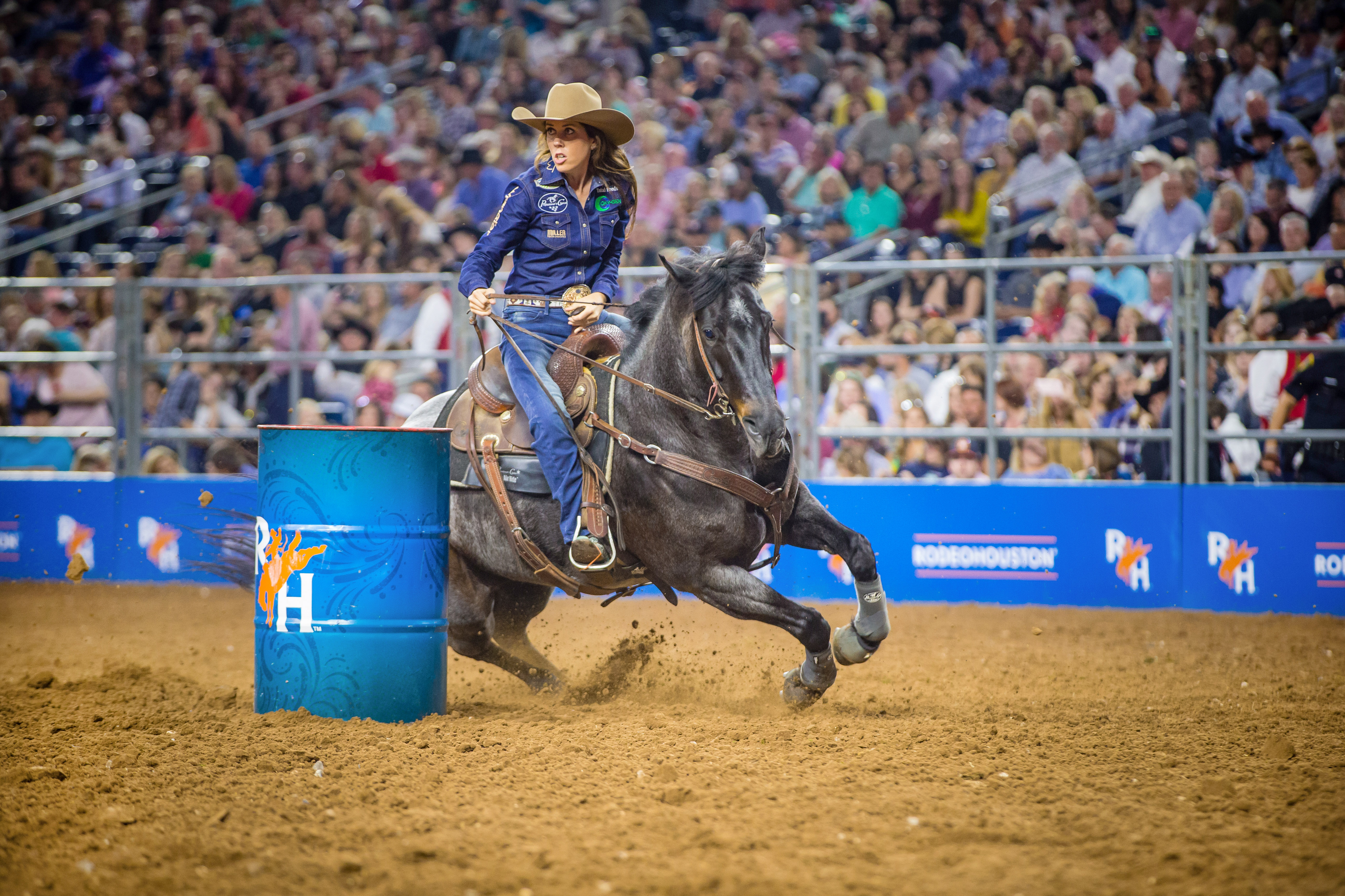 Professionelles Rodeo-Reiten wÃ¤hrend des Houston Rodeos