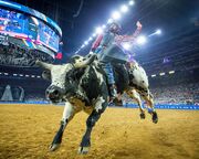 regionen/usa/mittlererwesten/texas/allgemein/texas-scenic-routes-houston-rodeo-02.cr5184x3456-0x0 regionen/usa/mittlererwesten/texas/allgemein/texas-scenic-routes-houston-rodeo-02.cr5184x3456-0x0