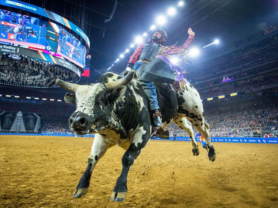 Professionelles Bullen-Reiten wÃ¤hrend des Houston Rodeos