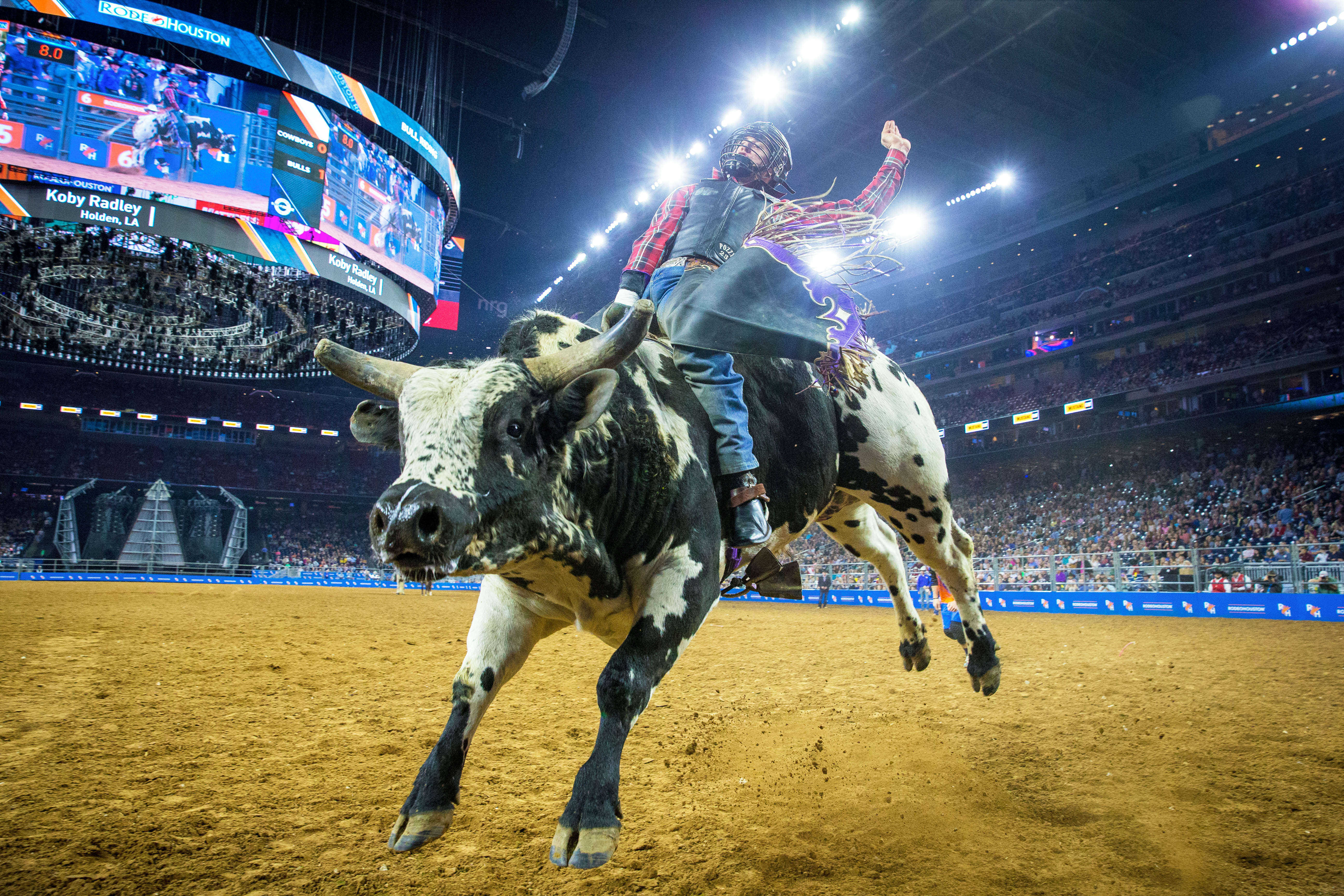 Professionelles Bullen-Reiten wÃ¤hrend des Houston Rodeos