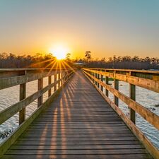 regionen/usa/mittlererwesten/texas/beaumont/cattail-marsh-wetland-beaumont.cr947x948-221x2 regionen/usa/mittlererwesten/texas/beaumont/cattail-marsh-wetland-beaumont.cr947x948-221x2
