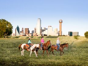 Reitausflug vor der Skyline von Dallas