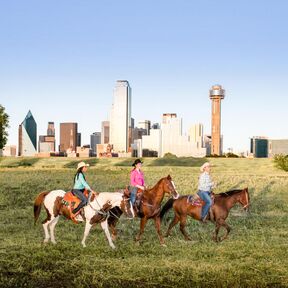 Reitausflug vor der Skyline von Dallas