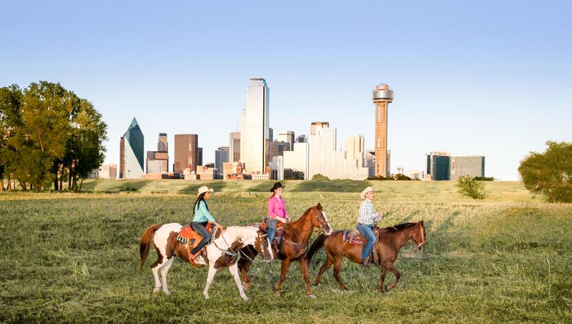 Reitausflug vor der Skyline von Dallas Reitausflug vor der Skyline von Dallas