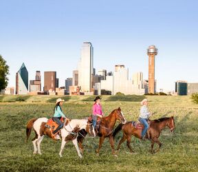 Reitausflug vor der Skyline von Dallas