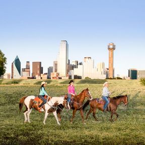 Reitausflug vor der Skyline von Dallas