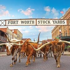 regionen/usa/mittlererwesten/texas/fort-worth/herd-stockyards-sign-hdr-credit-fwcvb.cr3836x3840-887x0 regionen/usa/mittlererwesten/texas/fort-worth/herd-stockyards-sign-hdr-credit-fwcvb.cr3836x3840-887x0