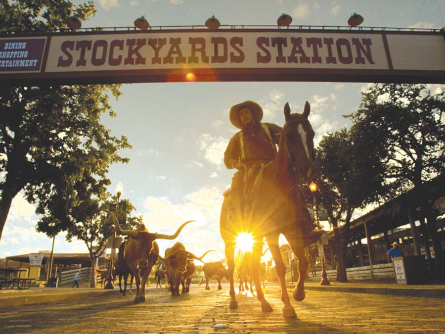 Stockyard Station