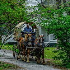 regionen/usa/mittlererwesten/texas/huntsville/kutsche-sam-houston-memorial-museum.cr693x693-67x6 regionen/usa/mittlererwesten/texas/huntsville/kutsche-sam-houston-memorial-museum.cr693x693-67x6