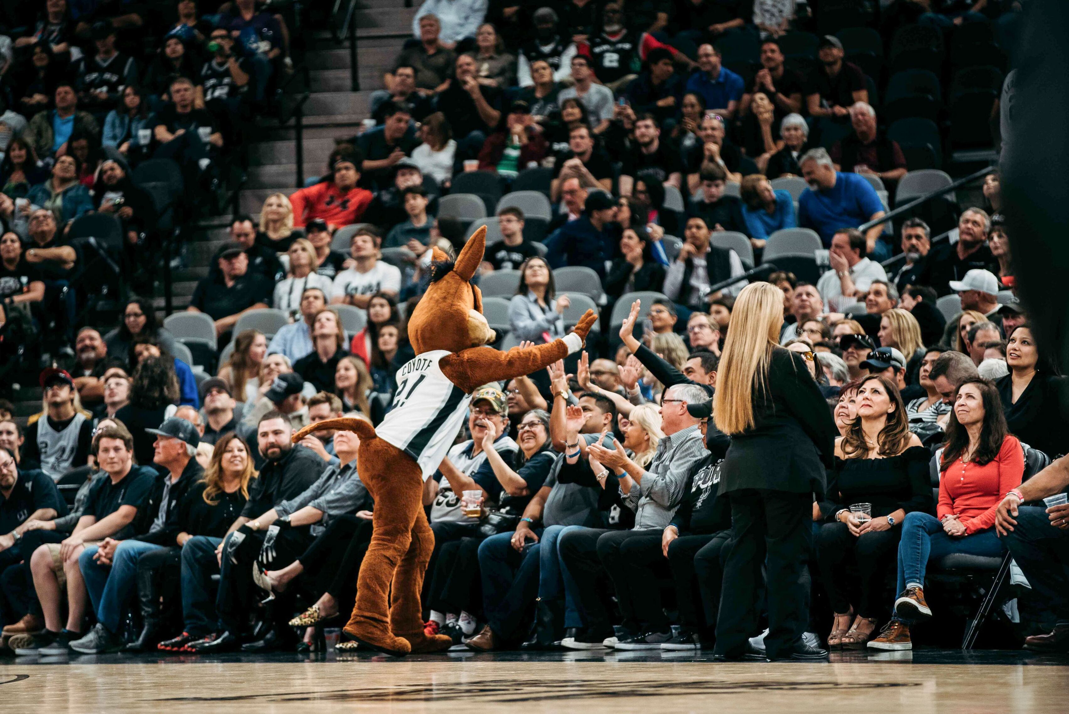 Das Spurs-Maskottchen animiert das Publikum während des NBA-Spiels in San Antonio.