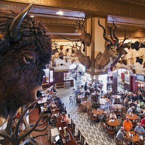 The Buckhorn Saloon and Museum in San Antonio, Texas