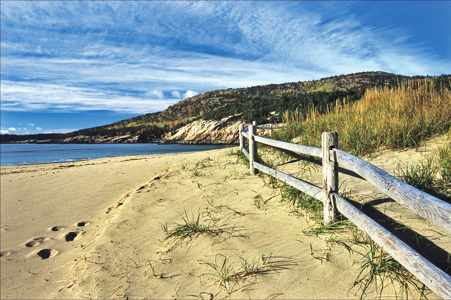 Strand am Acadia National Park