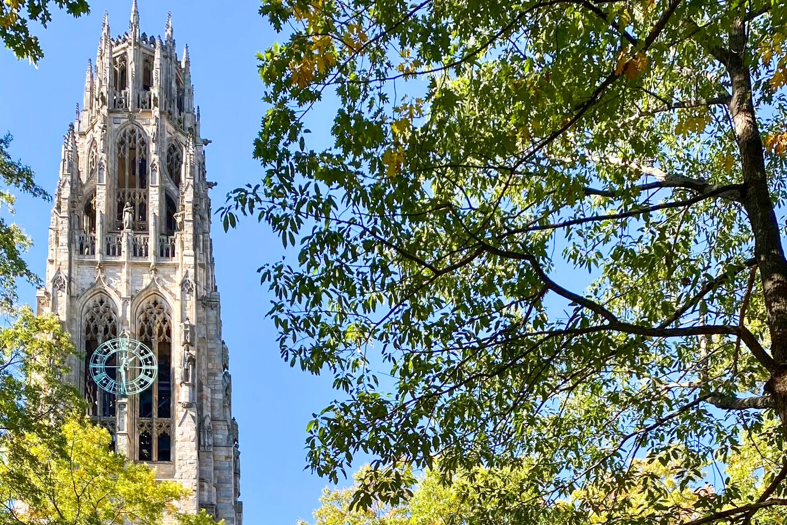 Blick auf den Harkness Tower der Yale University