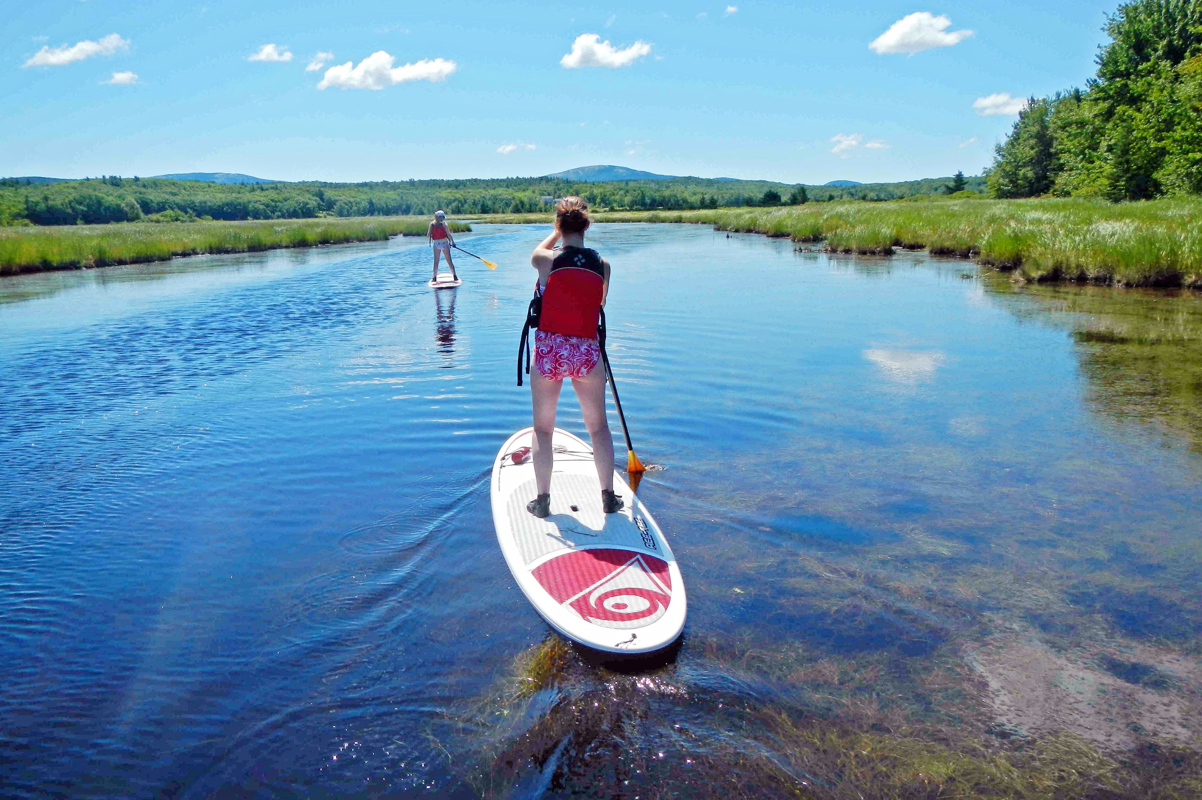 Stand Up Paddling im Acadia Nationalpark