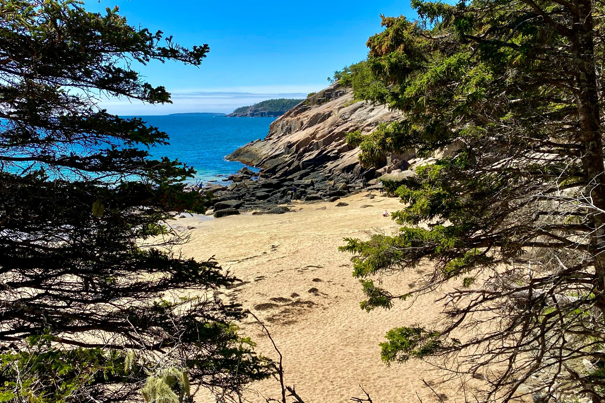 Schöner Sandstrand im Acadia National Park Schöner Sandstrand im Acadia National Park