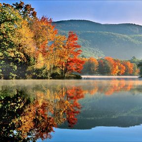 Herbstwald am Fluss