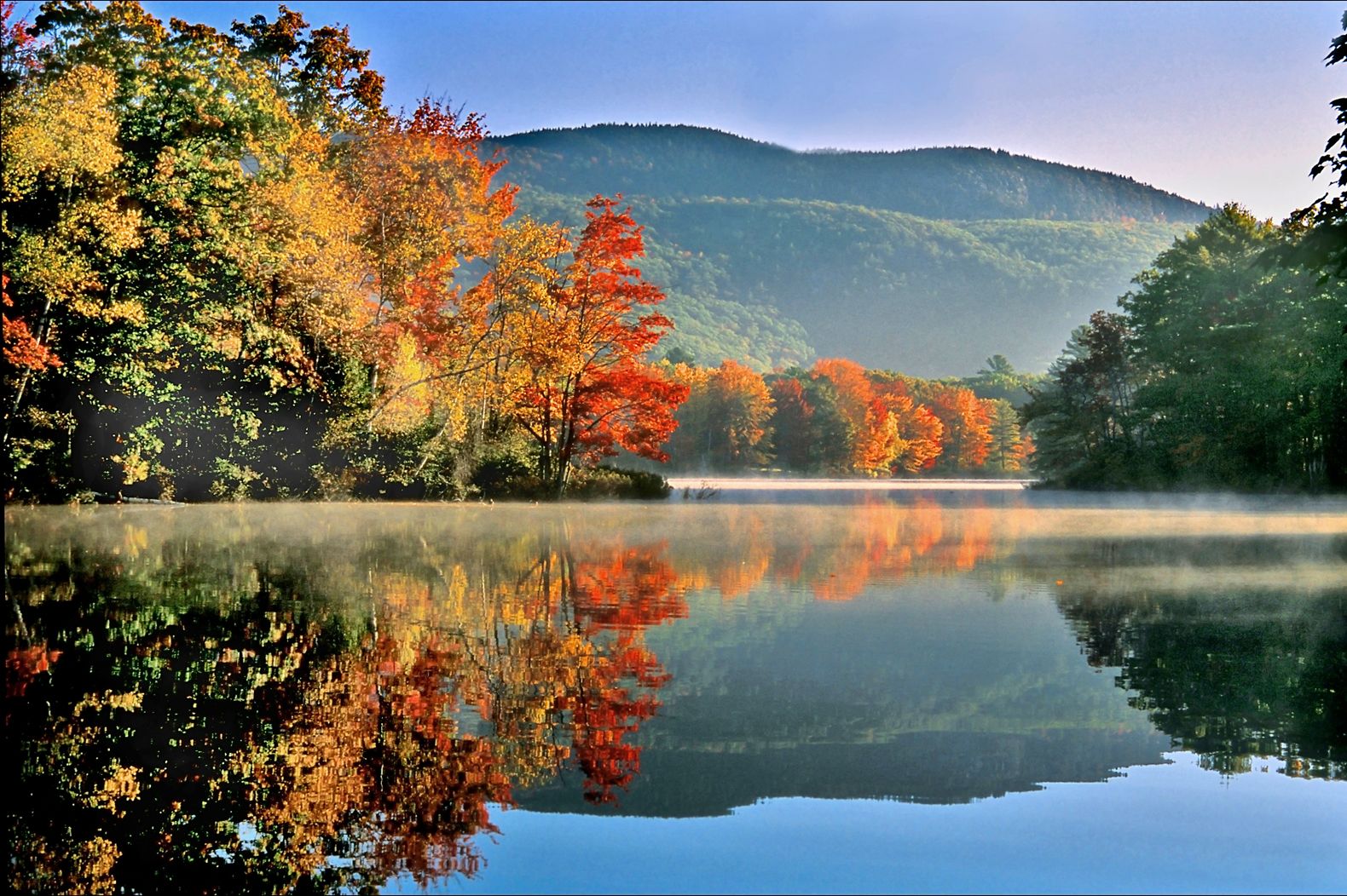 Herbstwald am Fluss