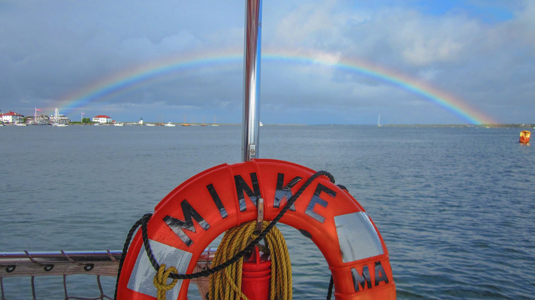 Whale Watching mit Shearwater Excursions Inc. in Nantucket