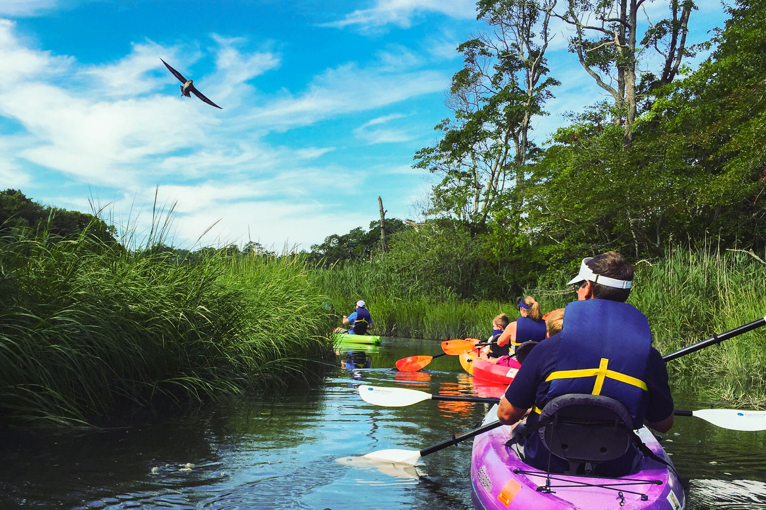 Mit dem Kayak durch die schöne Landschaft von Cape Cod, Massachusetts