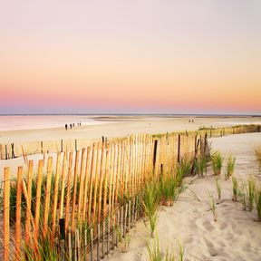 Strand am Cape Cod